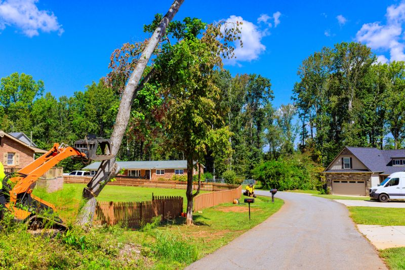 Beaver Activity Near Homes: Flooding Risks And Wildlife Control Options