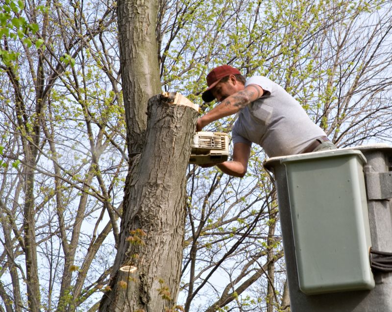 How Beaver Dams Cause Flooding Risks On Residential Properties