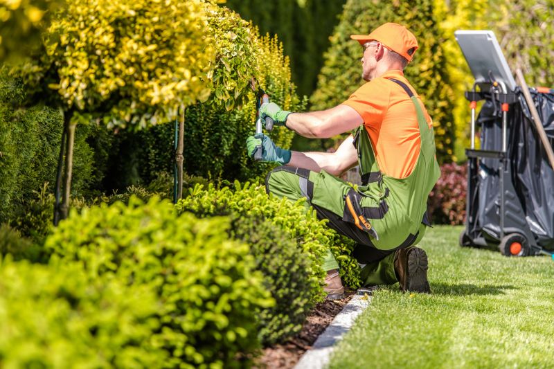 Landscaping and Dam Repair Services